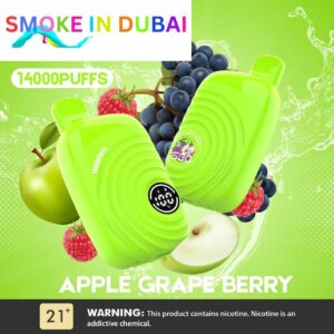 ISGO Paris 2% nicotine Disposable 14000 Puffs Rechargeable Vape in Dubai, UAE - View 2 - Buy in Dubai