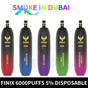 Finix 6000 Puffs 5% Nicotine Disposable Vape In Dubai, UAE - View 2 - Buy in Dubai