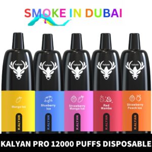 KALYAN Pro 12000 Puffs 50MG Disposable Vape - View 2 - Buy in Dubai